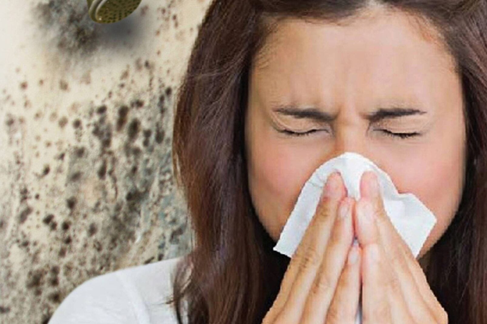 Allergens Dust Testing